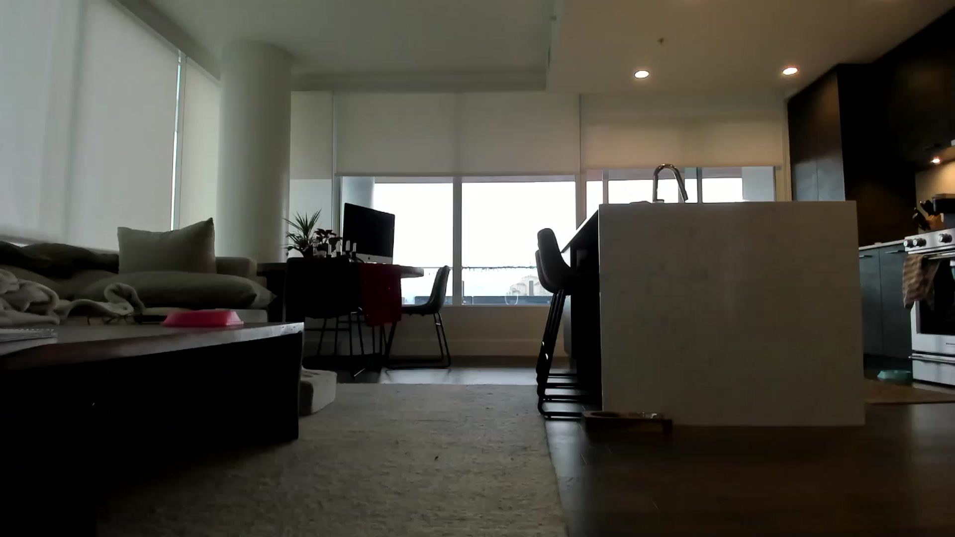Gallery image thumbnail from Mollyboots's myfreecams stream on, 01/09/2025, 20:24 image 7 of 20