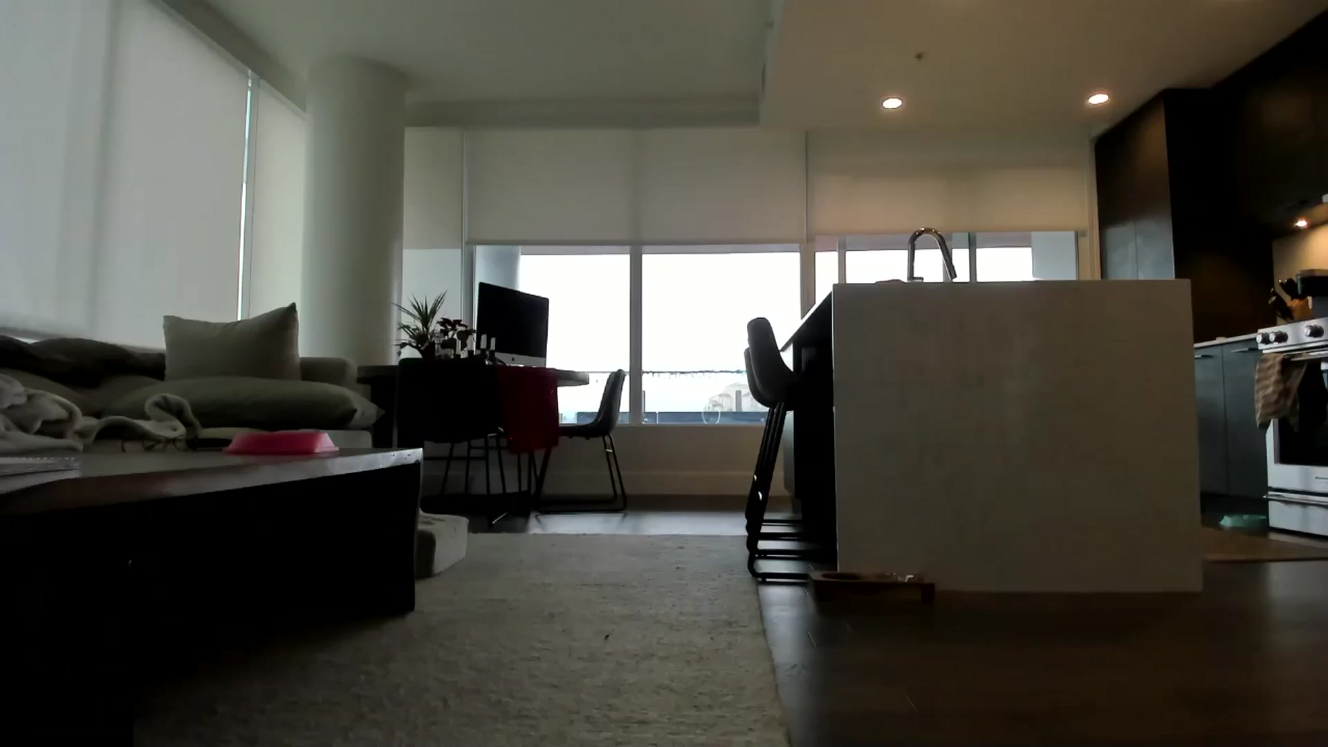 Gallery image thumbnail from Mollyboots's myfreecams stream on, 01/09/2025, 20:24 image 3 of 20