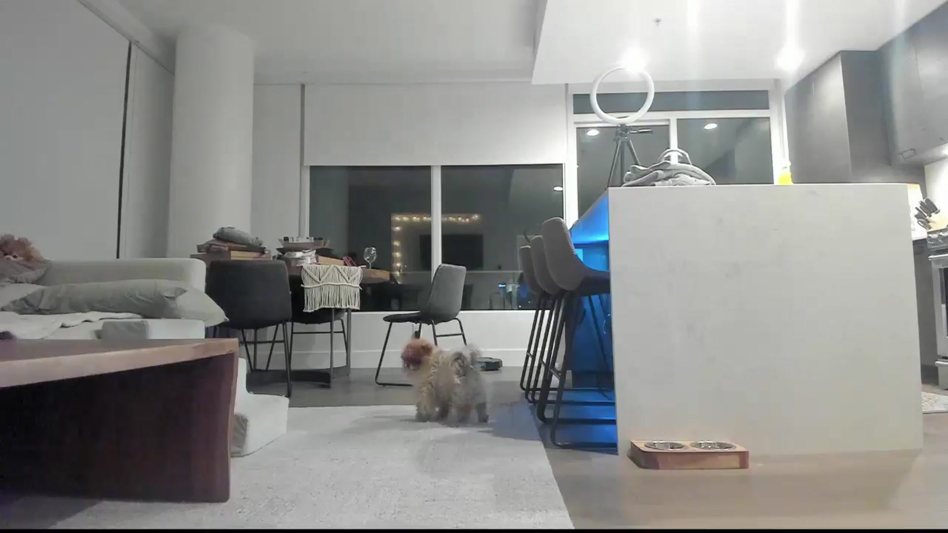 Gallery image thumbnail from Mollyboots's myfreecams stream on, 03/20/2025, 03:45 image 17 of 20