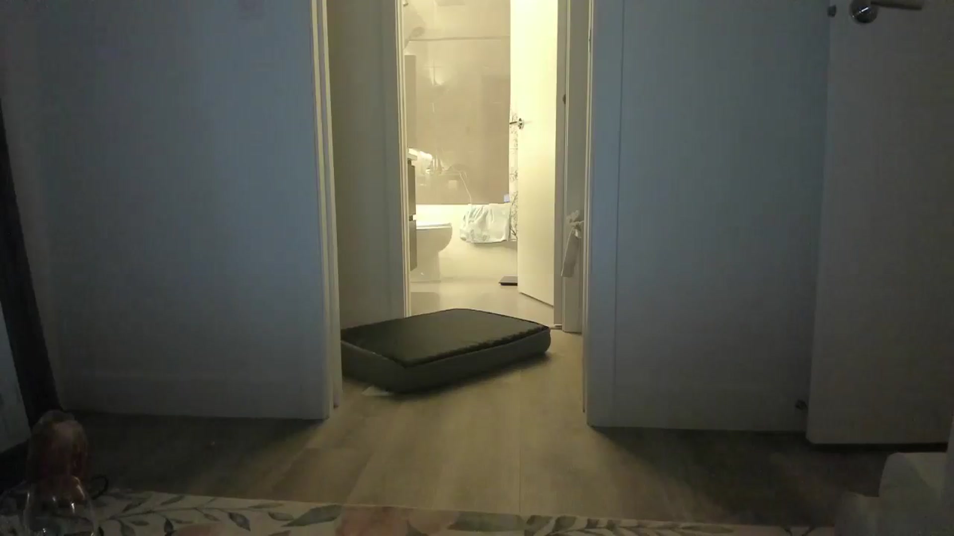 Gallery image thumbnail from Mollyboots's myfreecams stream on, 10/10/2025, 03:59 image 12 of 20