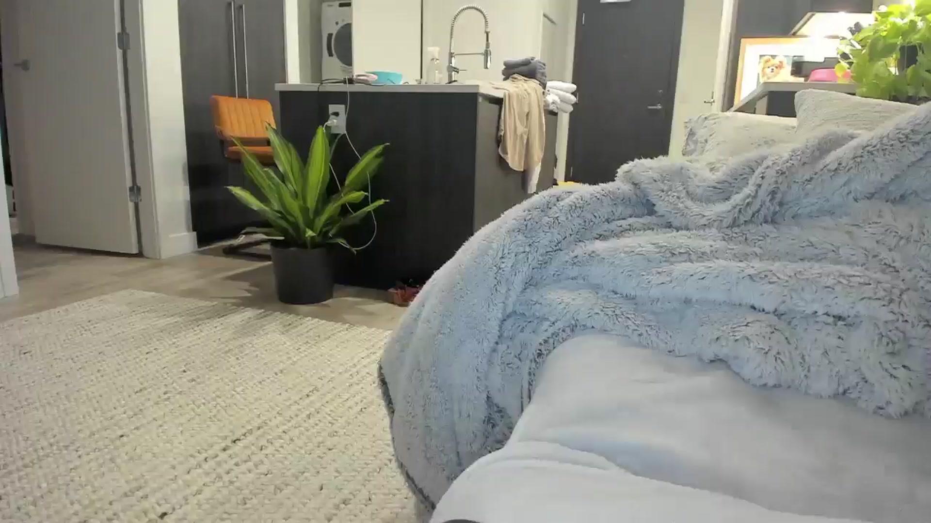 Gallery image thumbnail from Mollyboots's myfreecams stream on, 10/23/2025, 05:09 image 7 of 20
