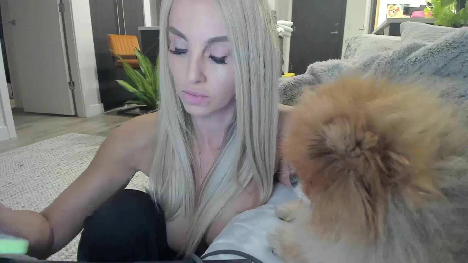 Gallery image thumbnail from Mollyboots's myfreecams stream on, 10/23/2025, 05:09 image 10 of 20