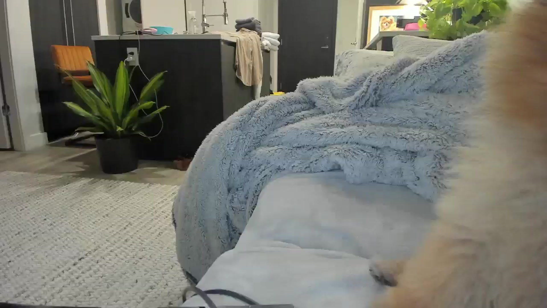 Gallery image thumbnail from Mollyboots's myfreecams stream on, 10/23/2025, 05:09 image 9 of 20
