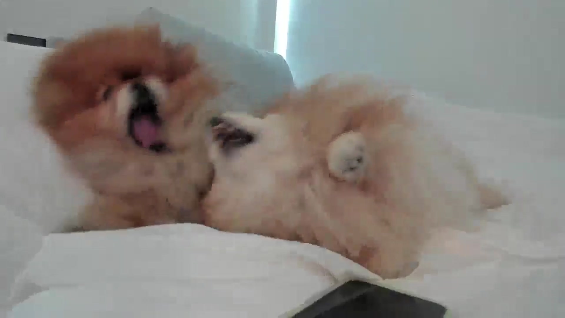 Gallery image thumbnail from Mollyboots's myfreecams stream on, 10/31/2025, 22:12 image 9 of 20