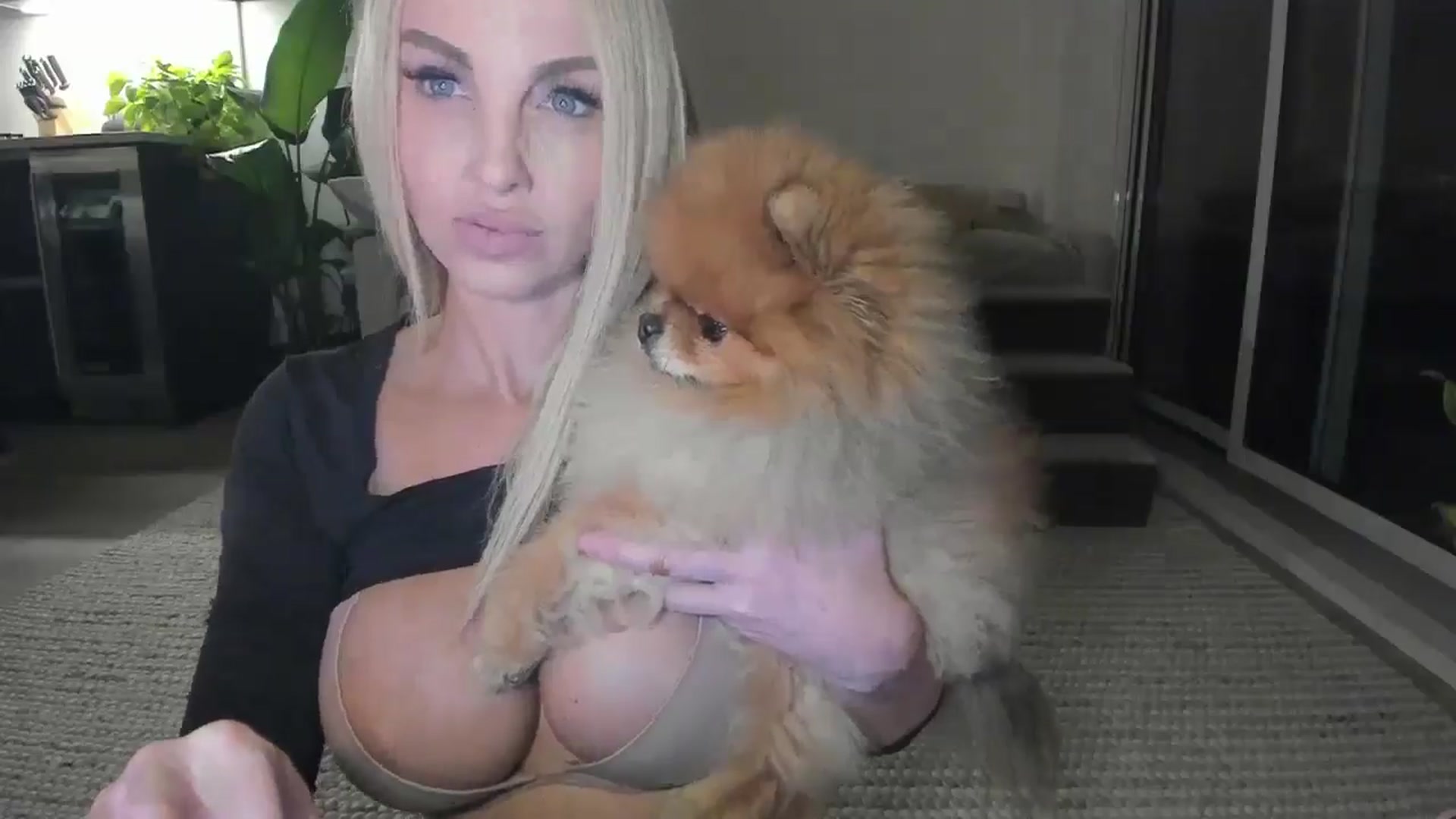 Gallery image thumbnail from Mollyboots's myfreecams stream on, 11/09/2025, 04:15 image 16 of 20