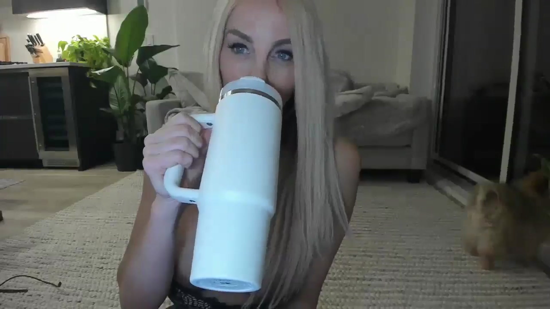 Gallery image thumbnail from Mollyboots's myfreecams stream on, 11/11/2025, 04:44 image 6 of 20