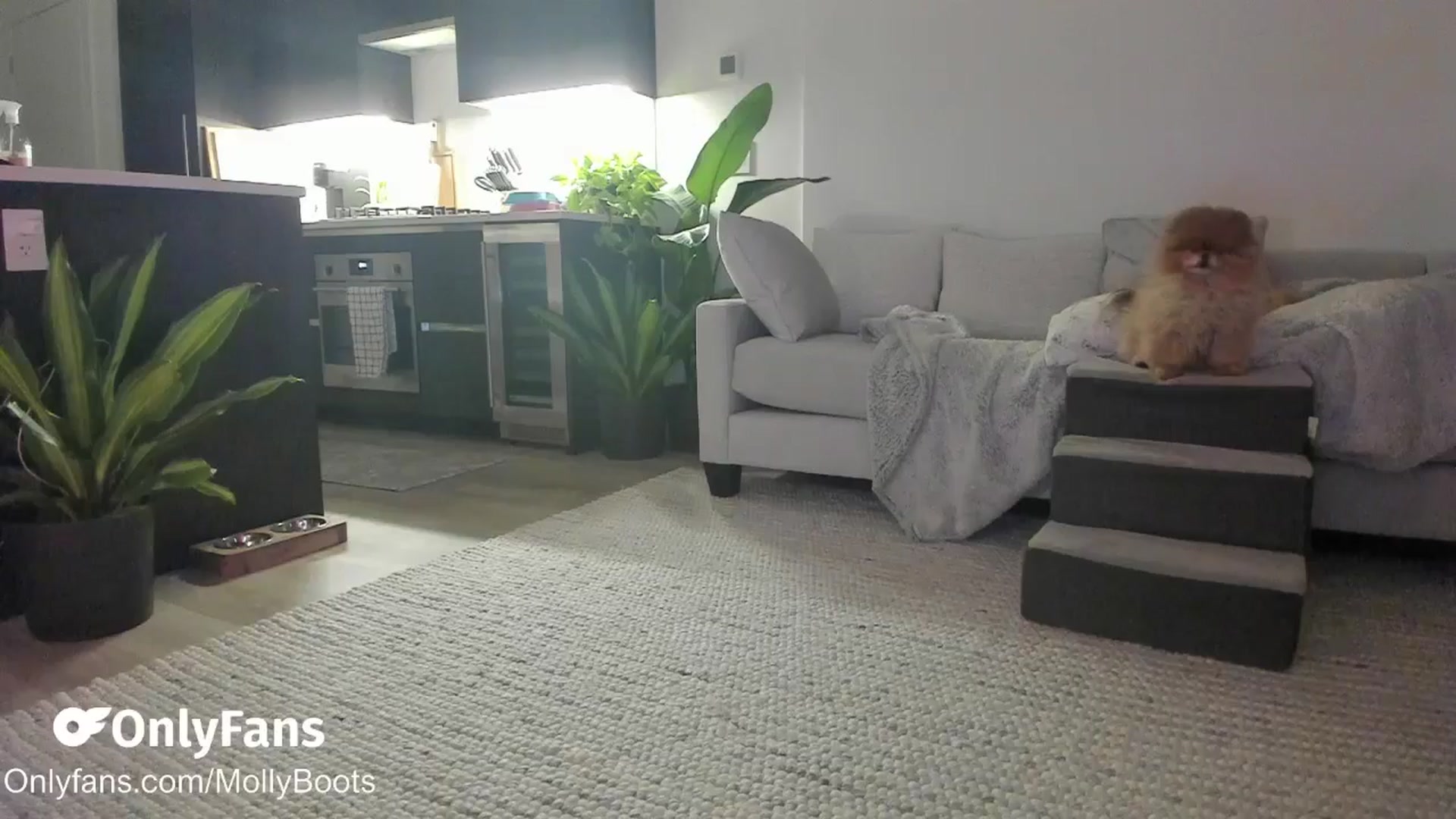 Gallery image thumbnail from Mollyboots's myfreecams stream on, 11/26/2025, 04:19 image 10 of 20
