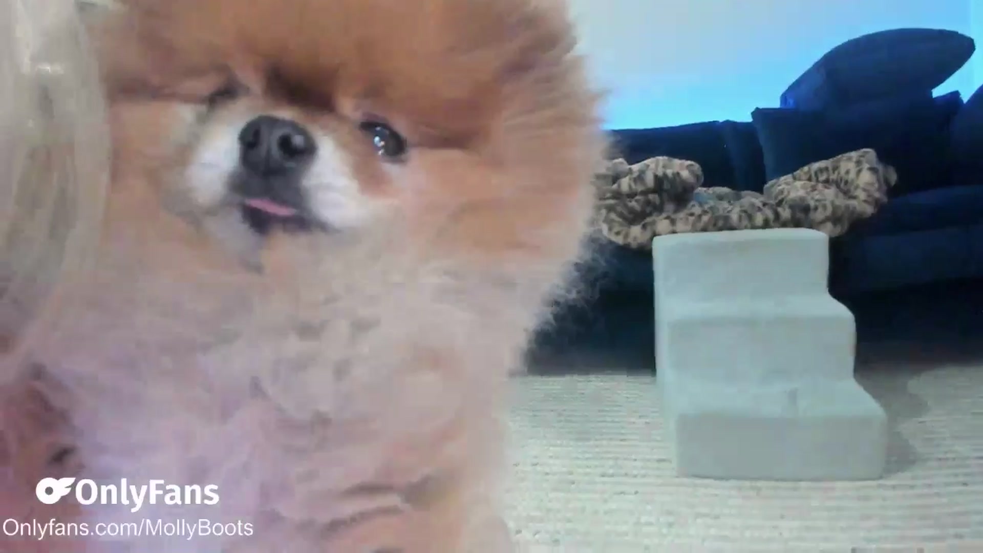 Gallery image thumbnail from Mollyboots's myfreecams stream on, 02/15/2026, 03:50 image 14 of 20