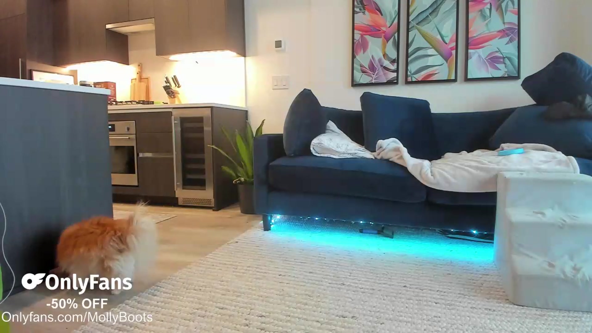 Gallery image thumbnail from Mollyboots's myfreecams stream on, 06/07/2026, 02:40 image 2 of 20