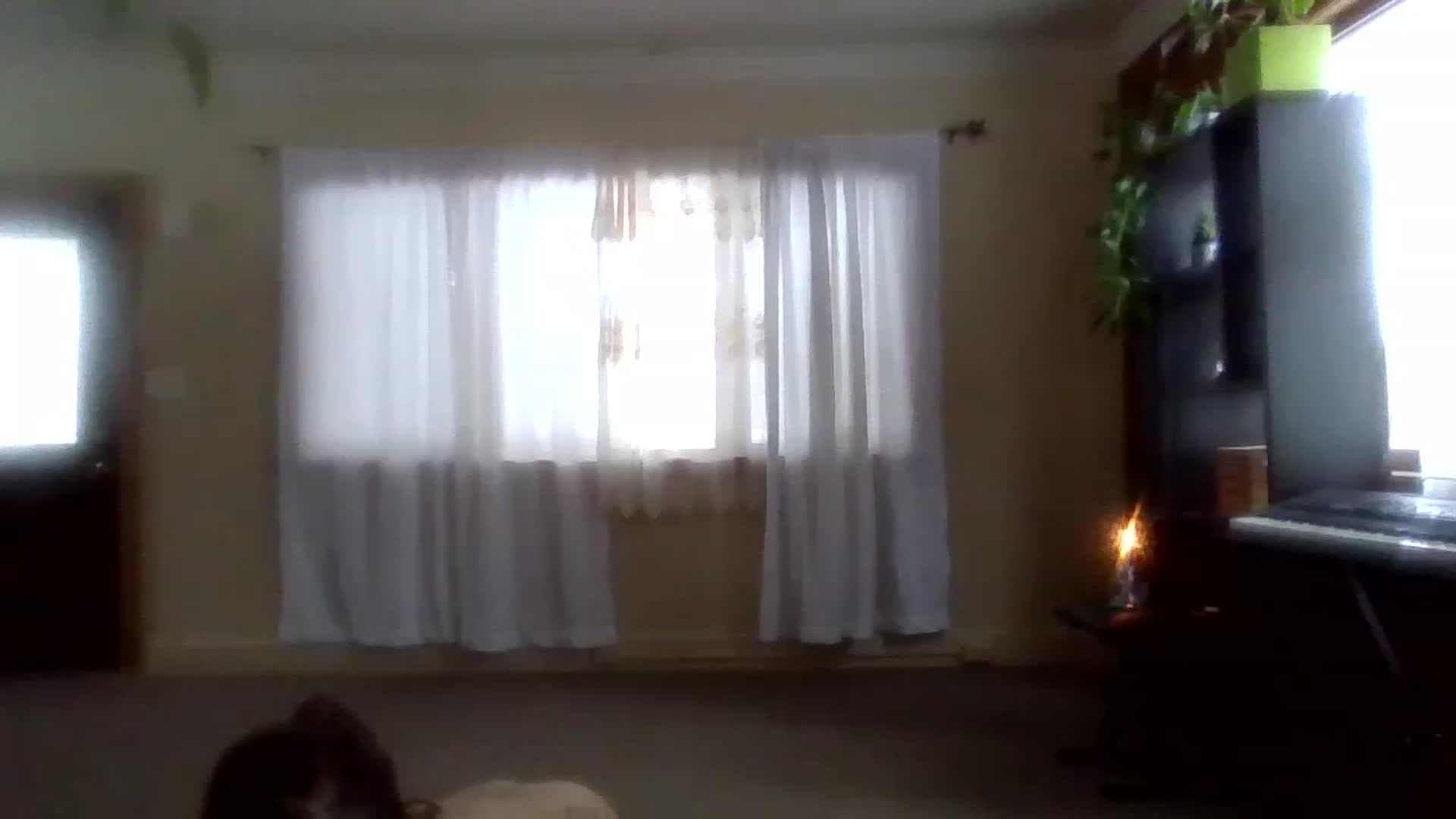 Gallery image thumbnail from MommyWolf's myfreecams stream on, 04/20/2023, 14:32 image 5 of 20