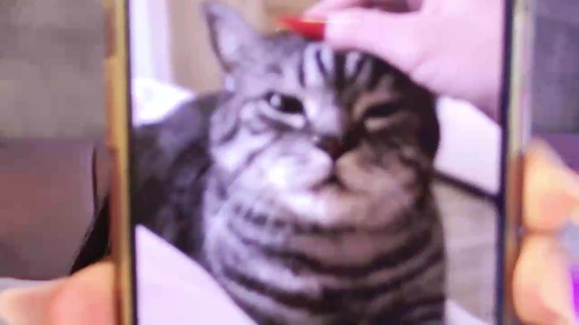 Gallery image thumbnail from Monalise's myfreecams stream on, 06/24/2026, 12:41 image 6 of 20