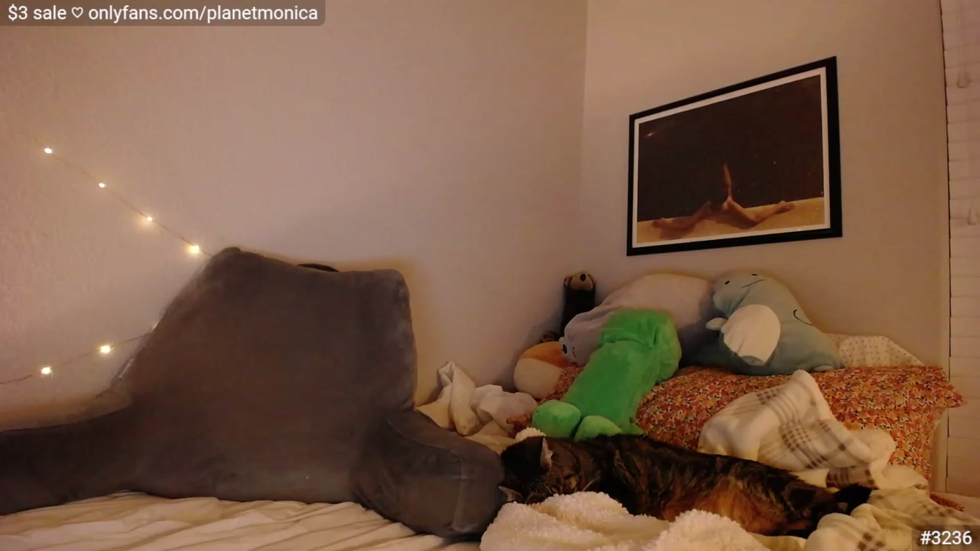 Gallery image thumbnail from Monica's myfreecams stream on, 12/18/2022, 02:37 image 2 of 20