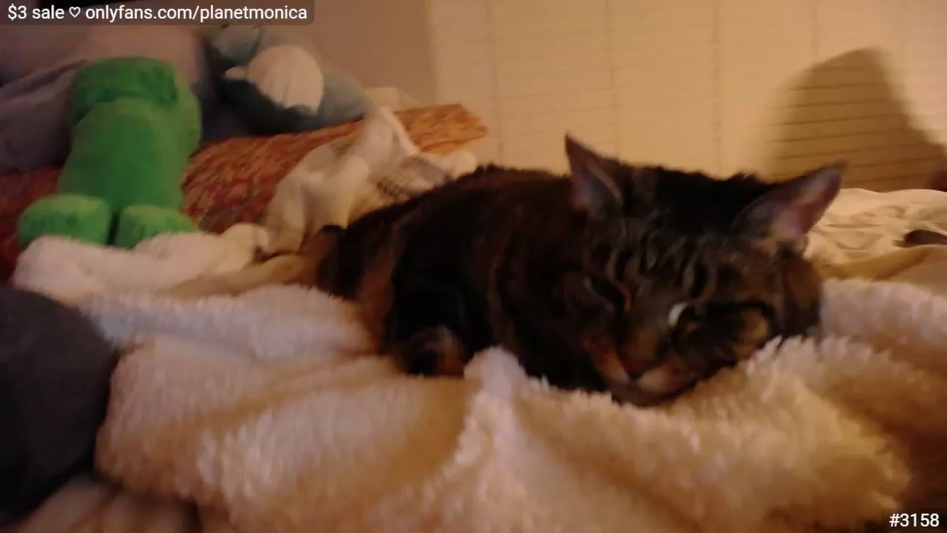 Gallery image thumbnail from Monica's myfreecams stream on, 12/18/2022, 02:37 image 4 of 20