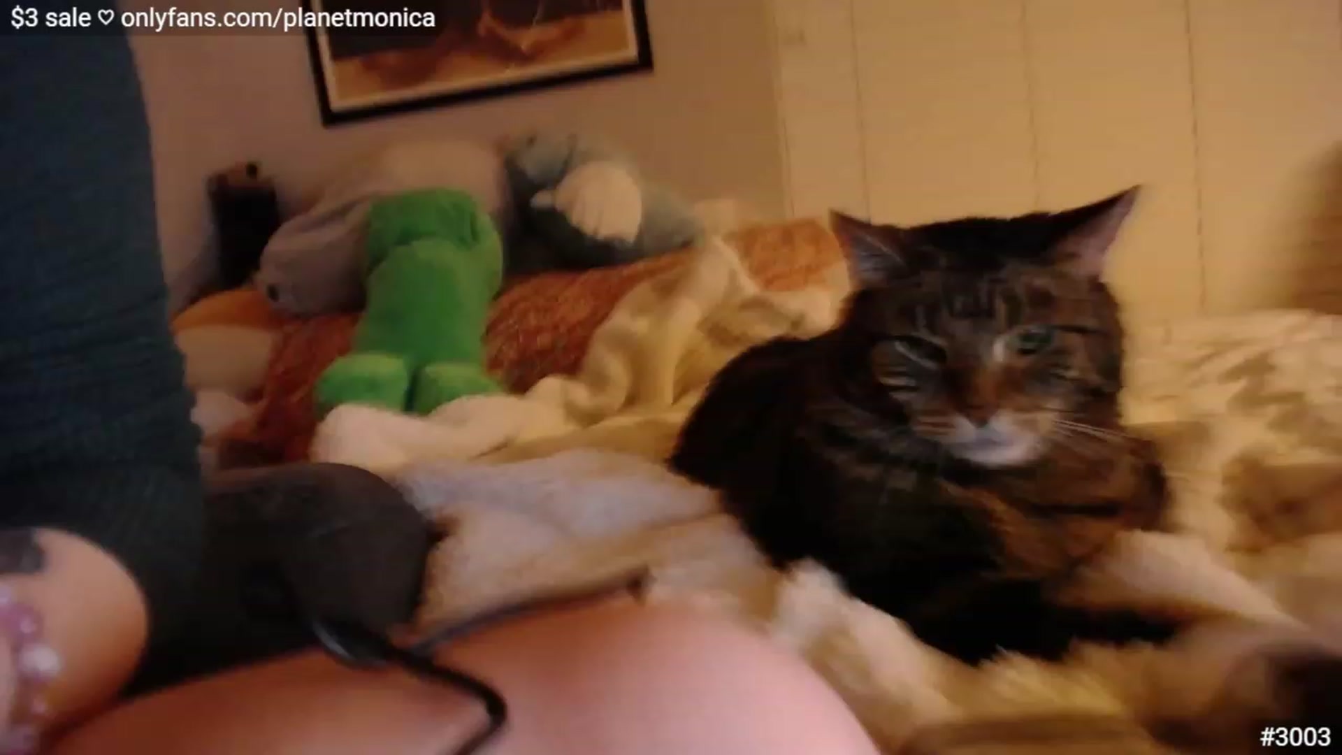 Gallery image thumbnail from Monica's myfreecams stream on, 12/18/2022, 02:37 image 13 of 20
