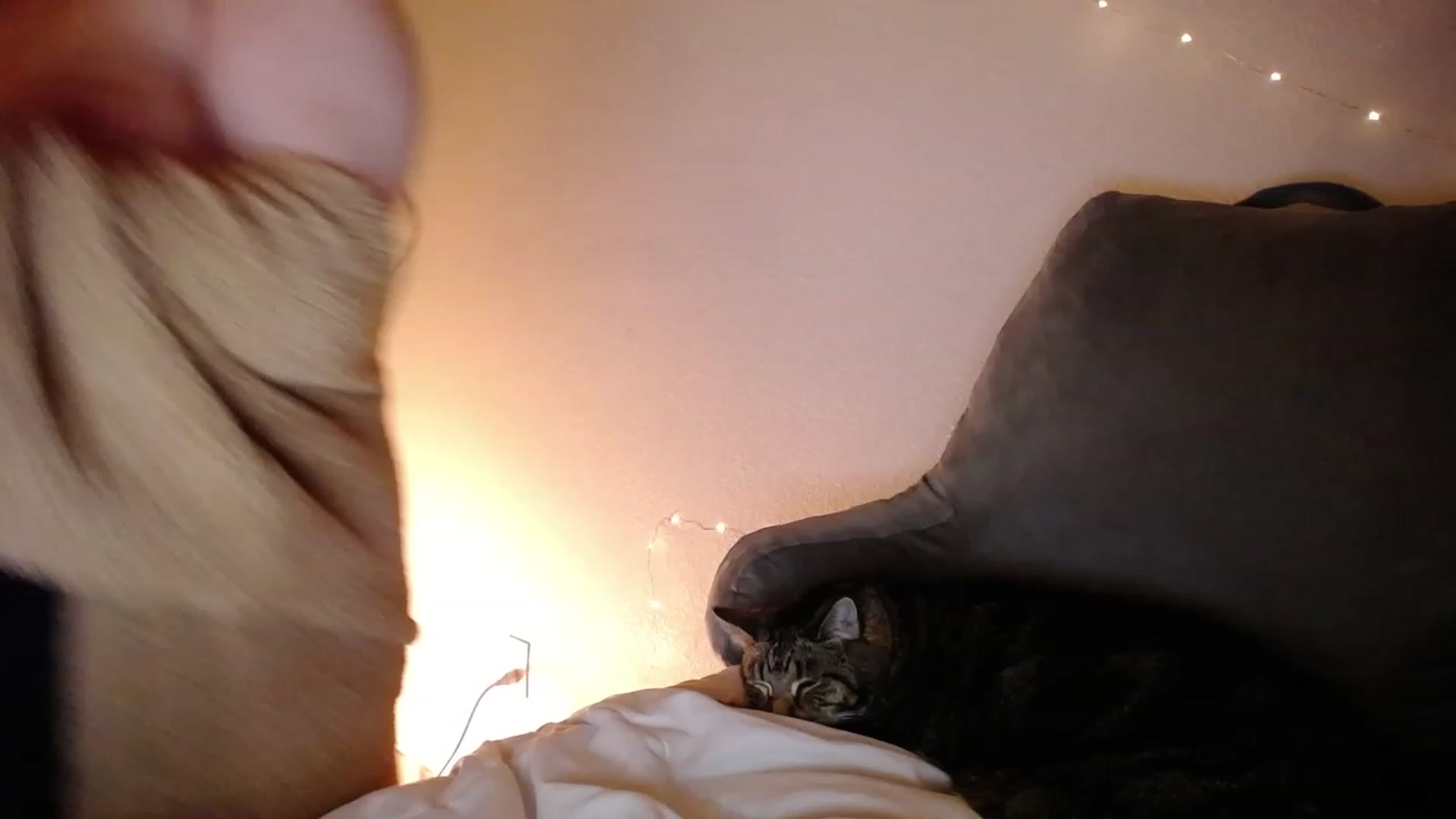 Gallery image thumbnail from Monica's myfreecams stream on, 12/19/2022, 03:52 image 9 of 20