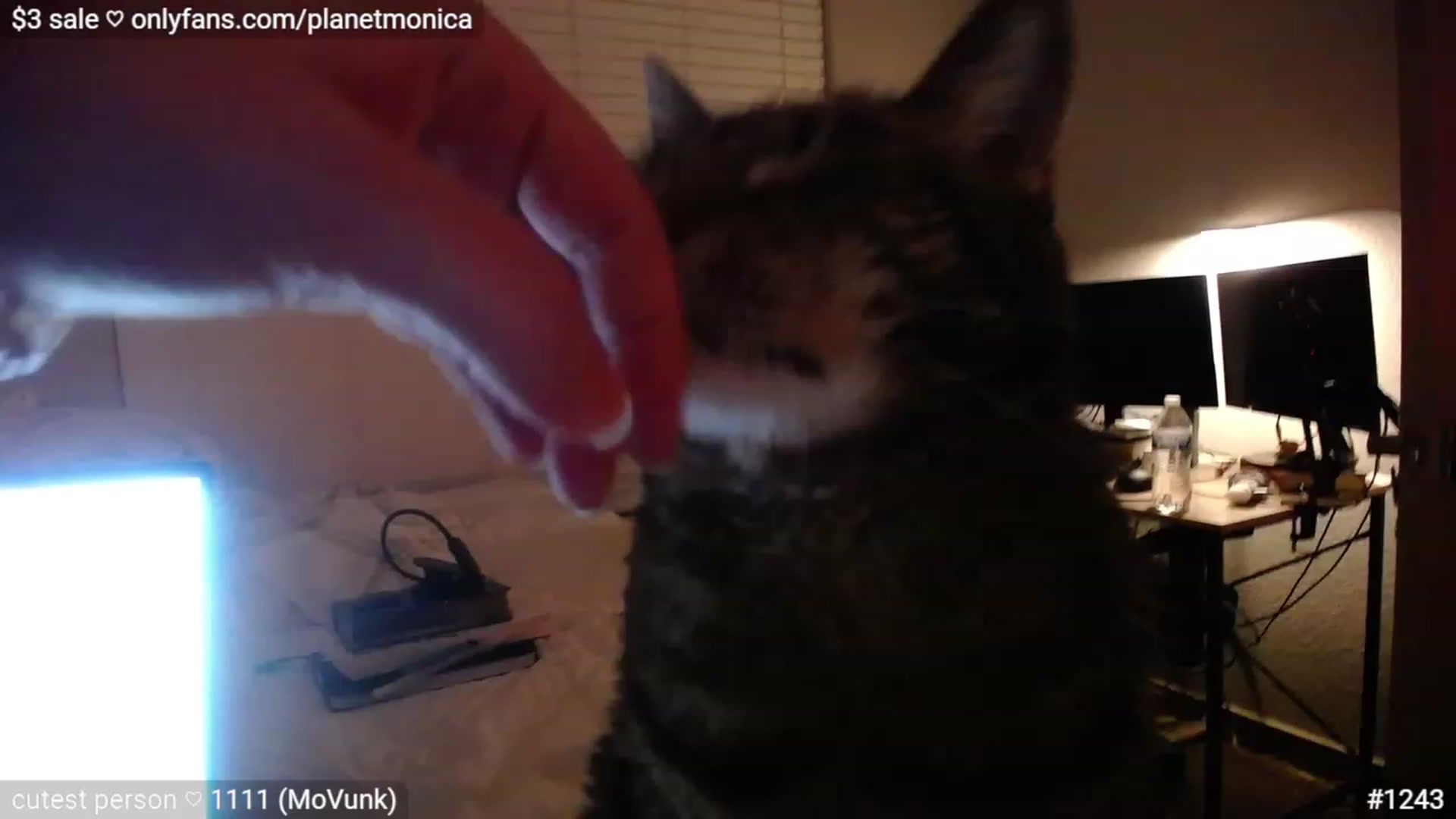 Gallery image thumbnail from Monica's myfreecams stream on, 03/07/2023, 03:52 image 2 of 20