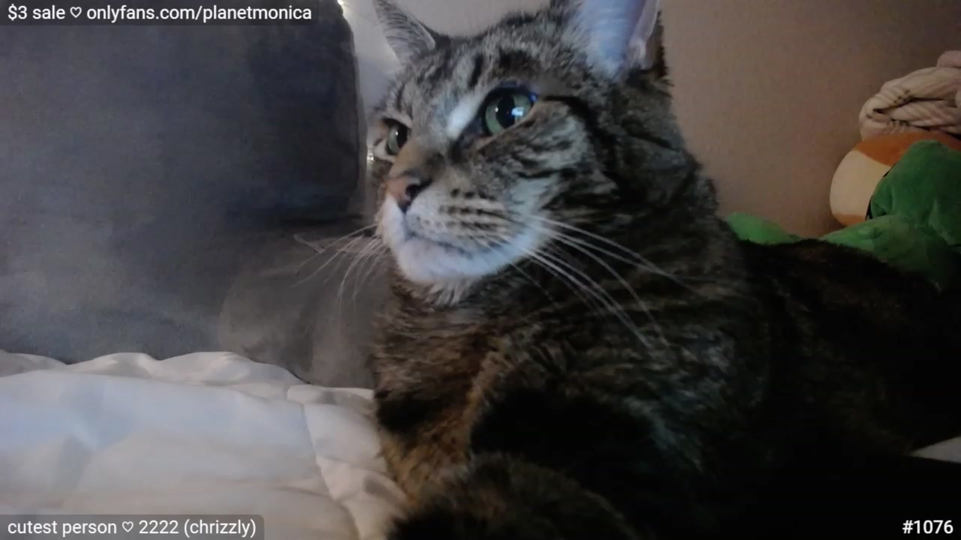 Gallery image thumbnail from Monica's myfreecams stream on, 03/11/2023, 05:01 image 1 of 20