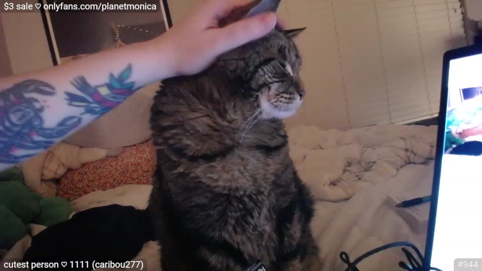 Gallery image thumbnail from Monica's myfreecams stream on, 03/13/2023, 03:53 image 20 of 20