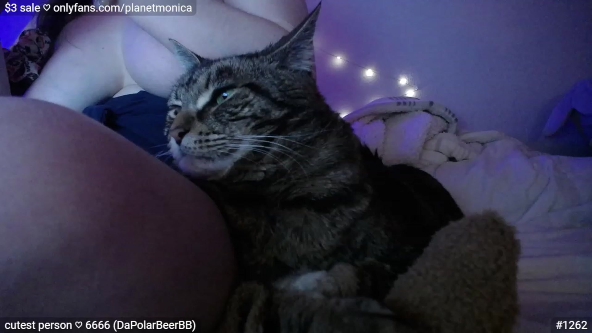 Gallery image thumbnail from Monica's myfreecams stream on, 03/27/2023, 04:41 image 13 of 20