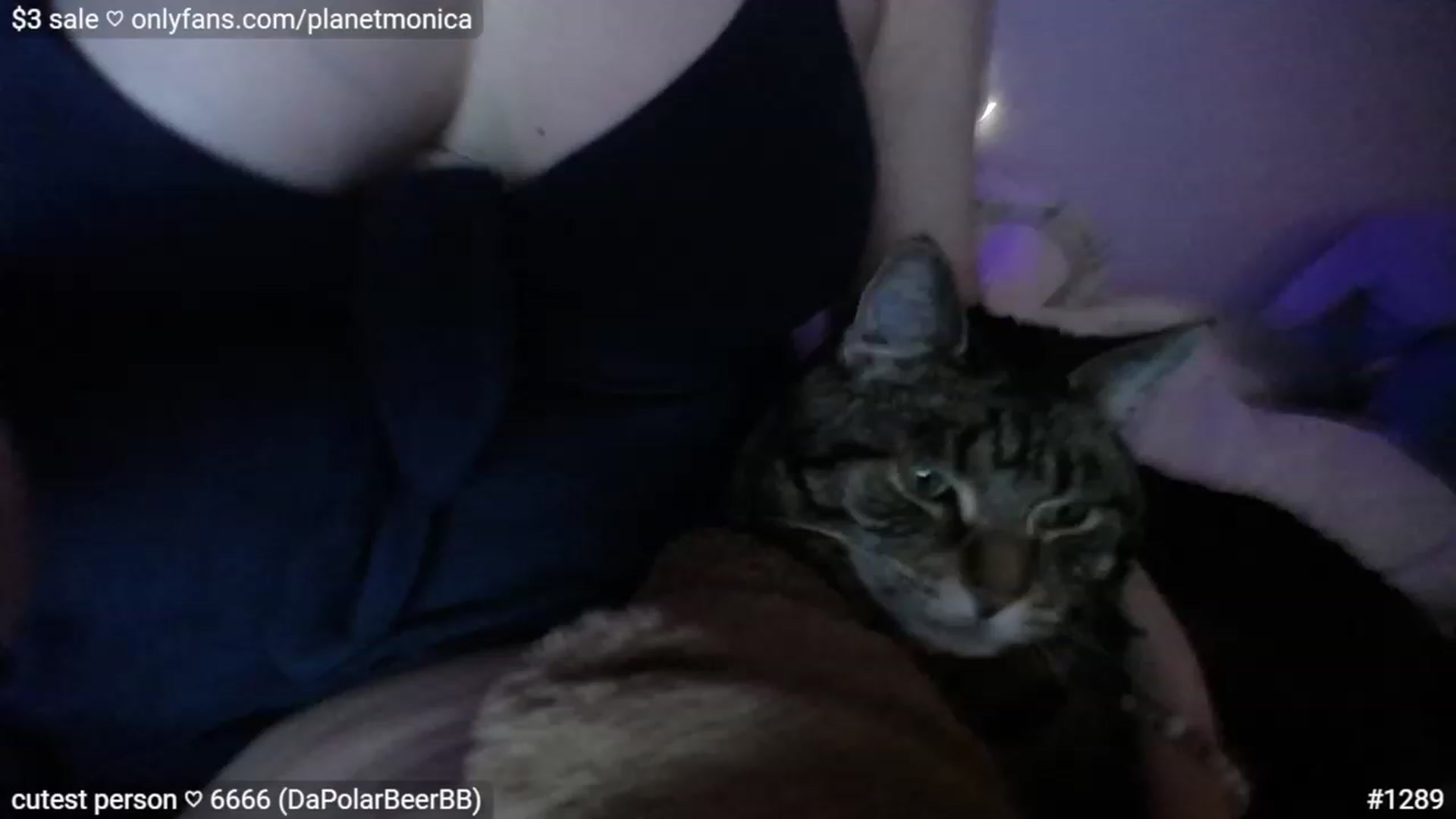 Gallery image thumbnail from Monica's myfreecams stream on, 03/27/2023, 04:41 image 4 of 20