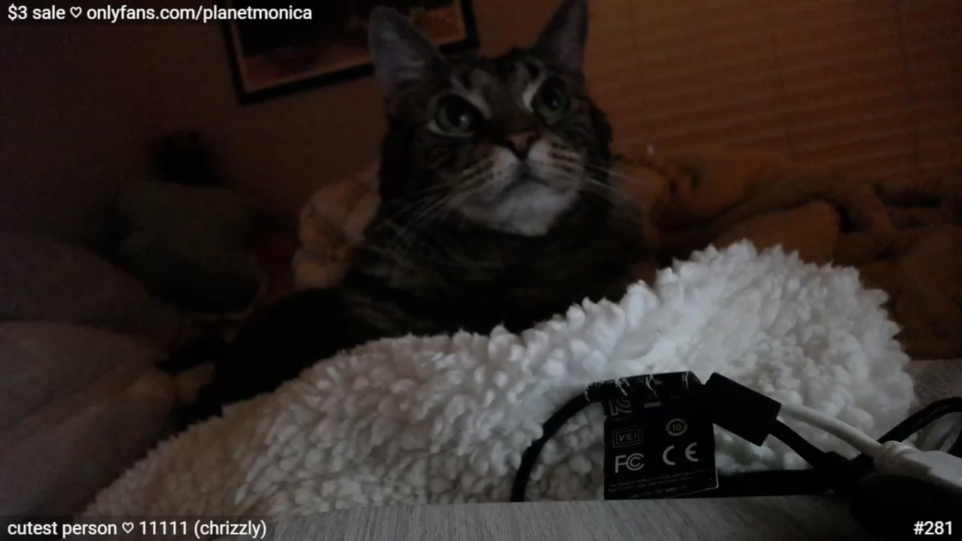 Gallery image thumbnail from Monica's myfreecams stream on, 04/03/2023, 03:12 image 5 of 20