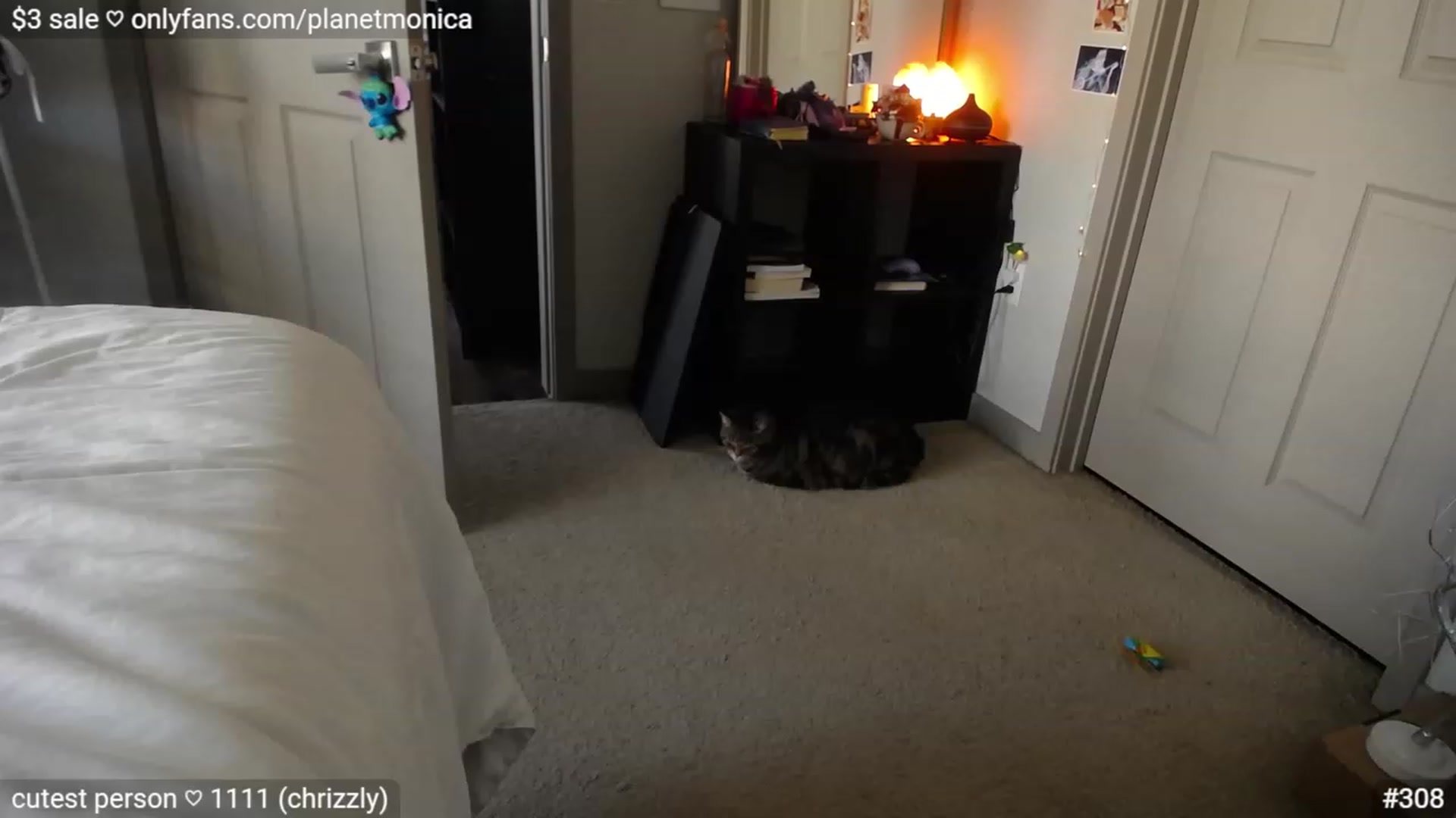 Gallery image thumbnail from Monica's myfreecams stream on, 04/06/2023, 02:14 image 3 of 20