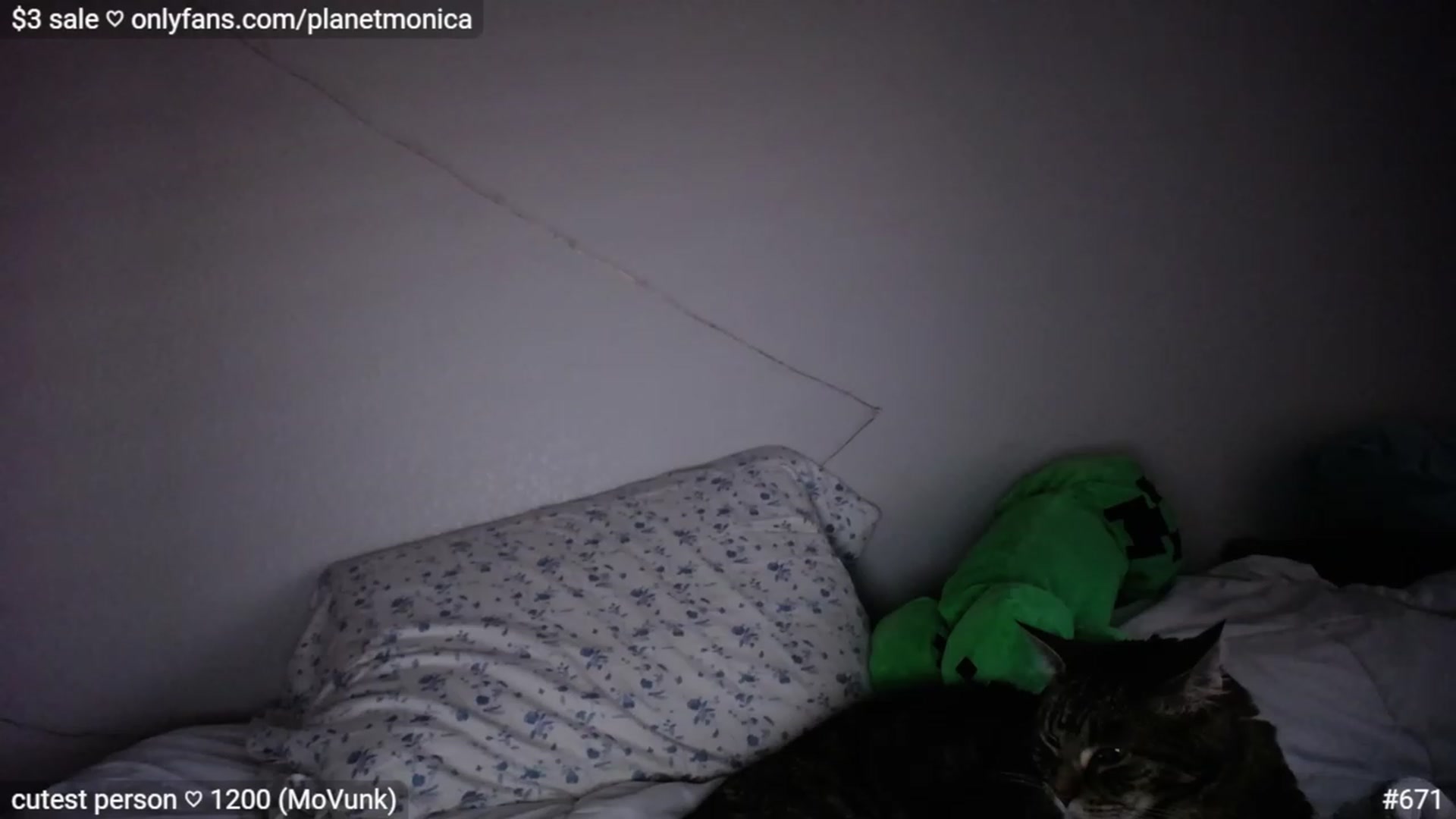 Gallery image thumbnail from Monica's myfreecams stream on, 04/25/2023, 02:54 image 12 of 20