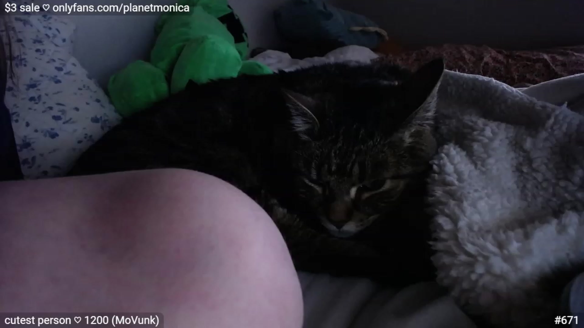 Gallery image thumbnail from Monica's myfreecams stream on, 04/25/2023, 02:54 image 11 of 20