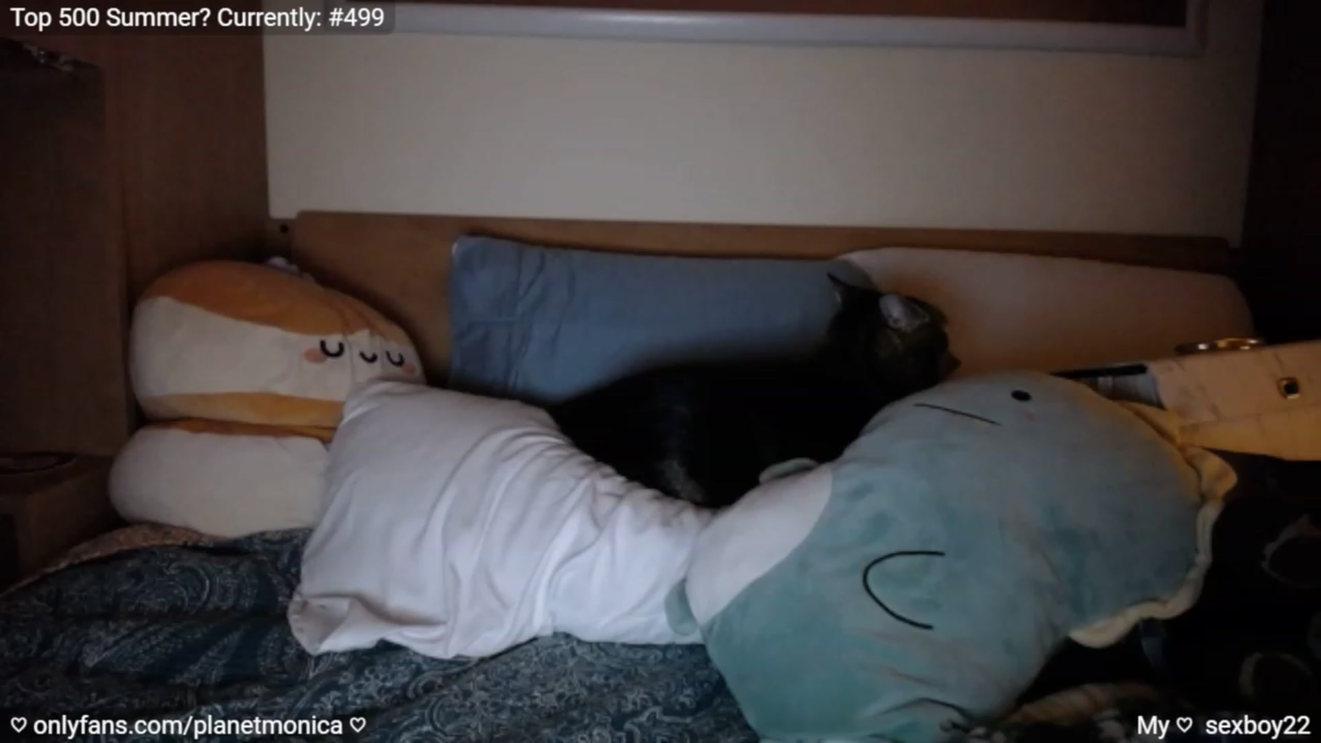 Gallery image thumbnail from Monica's myfreecams stream on, 09/23/2023, 24:01 image 19 of 20