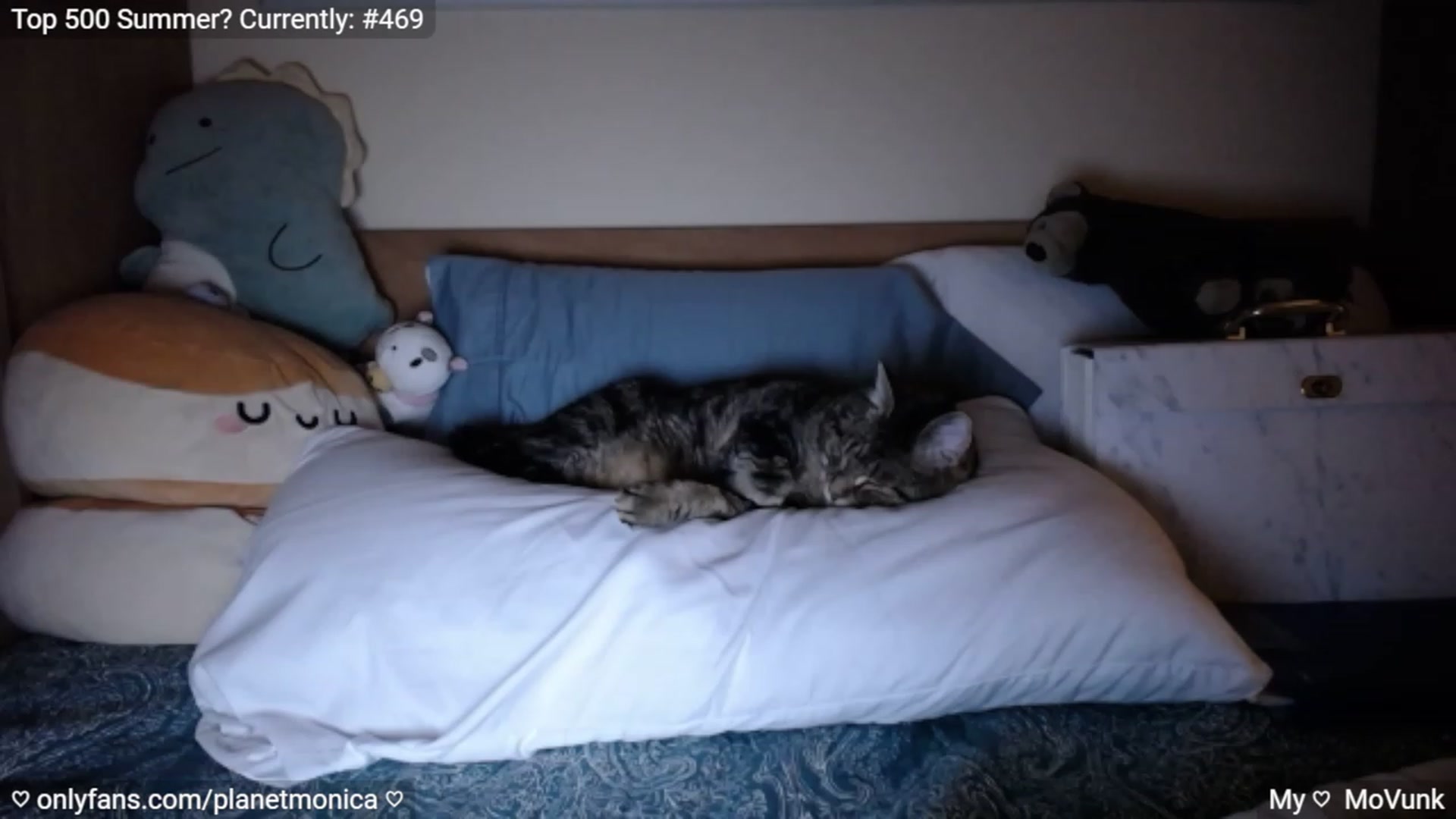 Gallery image thumbnail from Monica's myfreecams stream on, 09/25/2023, 03:30 image 1 of 20