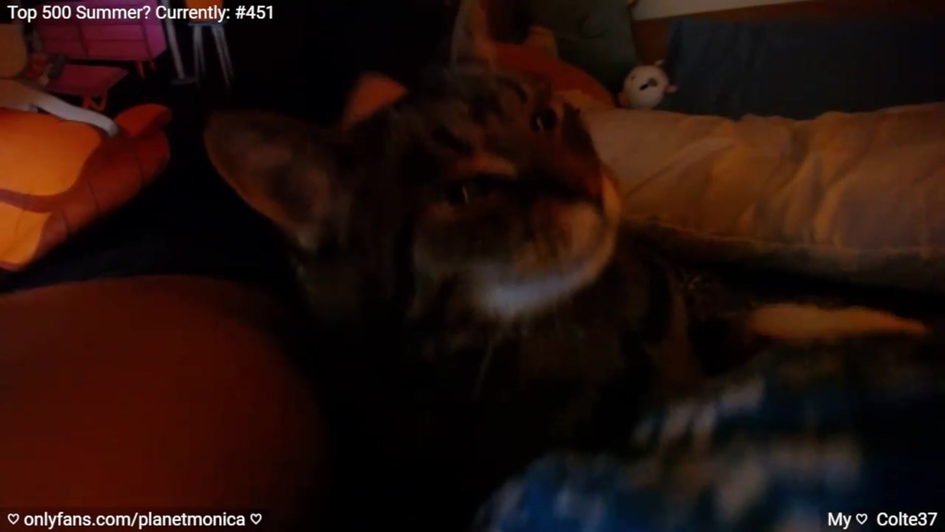 Gallery image thumbnail from Monica's myfreecams stream on, 09/29/2023, 01:23 image 20 of 20