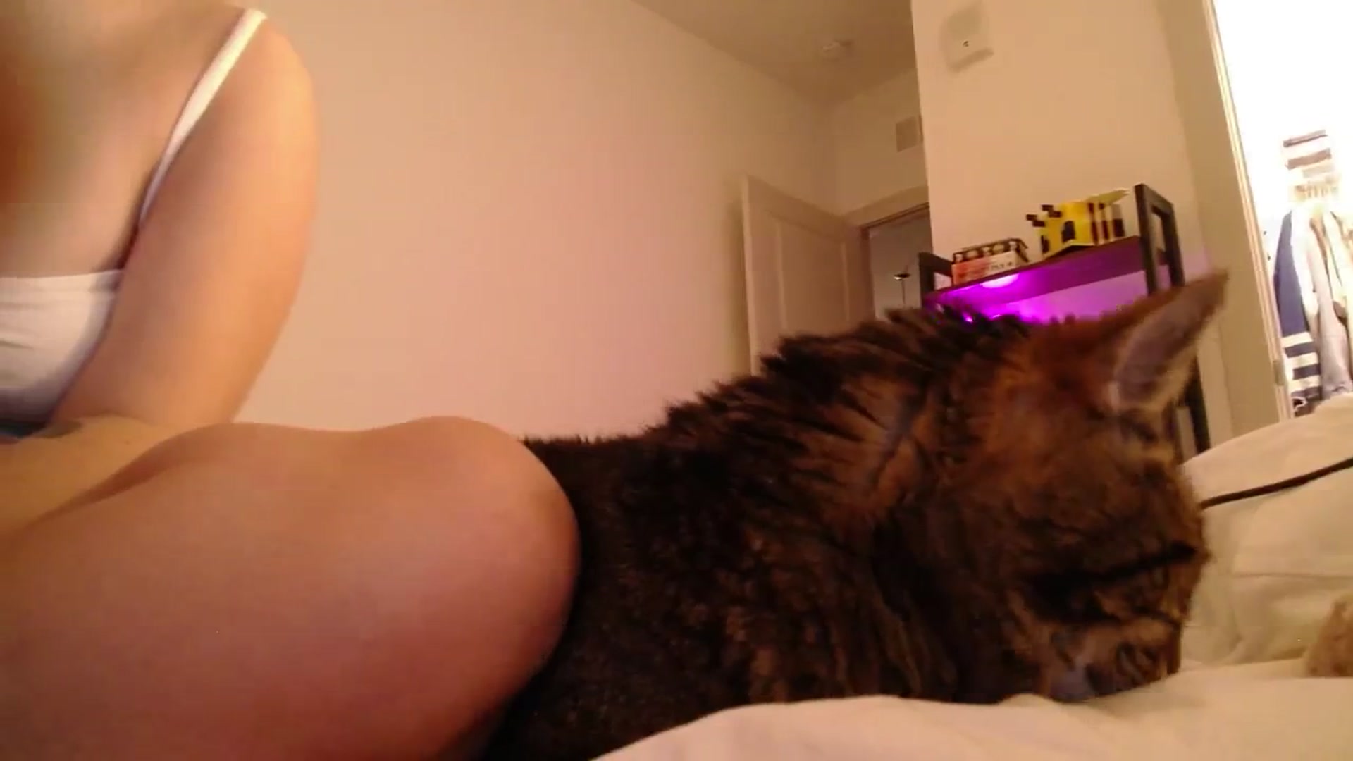 Gallery image thumbnail from Monica's myfreecams stream on, 09/07/2024, 04:02 image 18 of 20