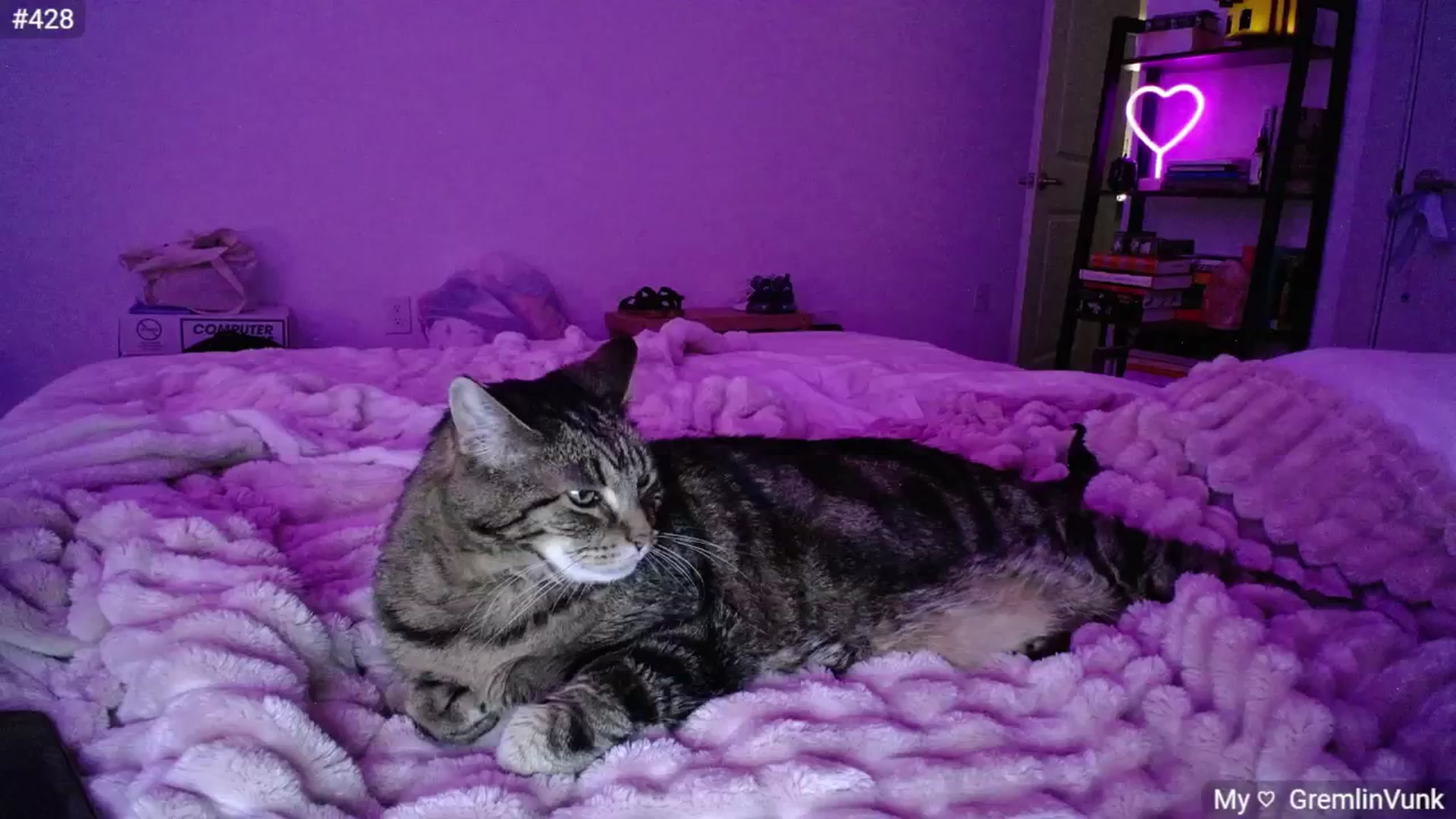 Gallery image thumbnail from Monica's myfreecams stream on, 10/05/2024, 03:59 image 15 of 20