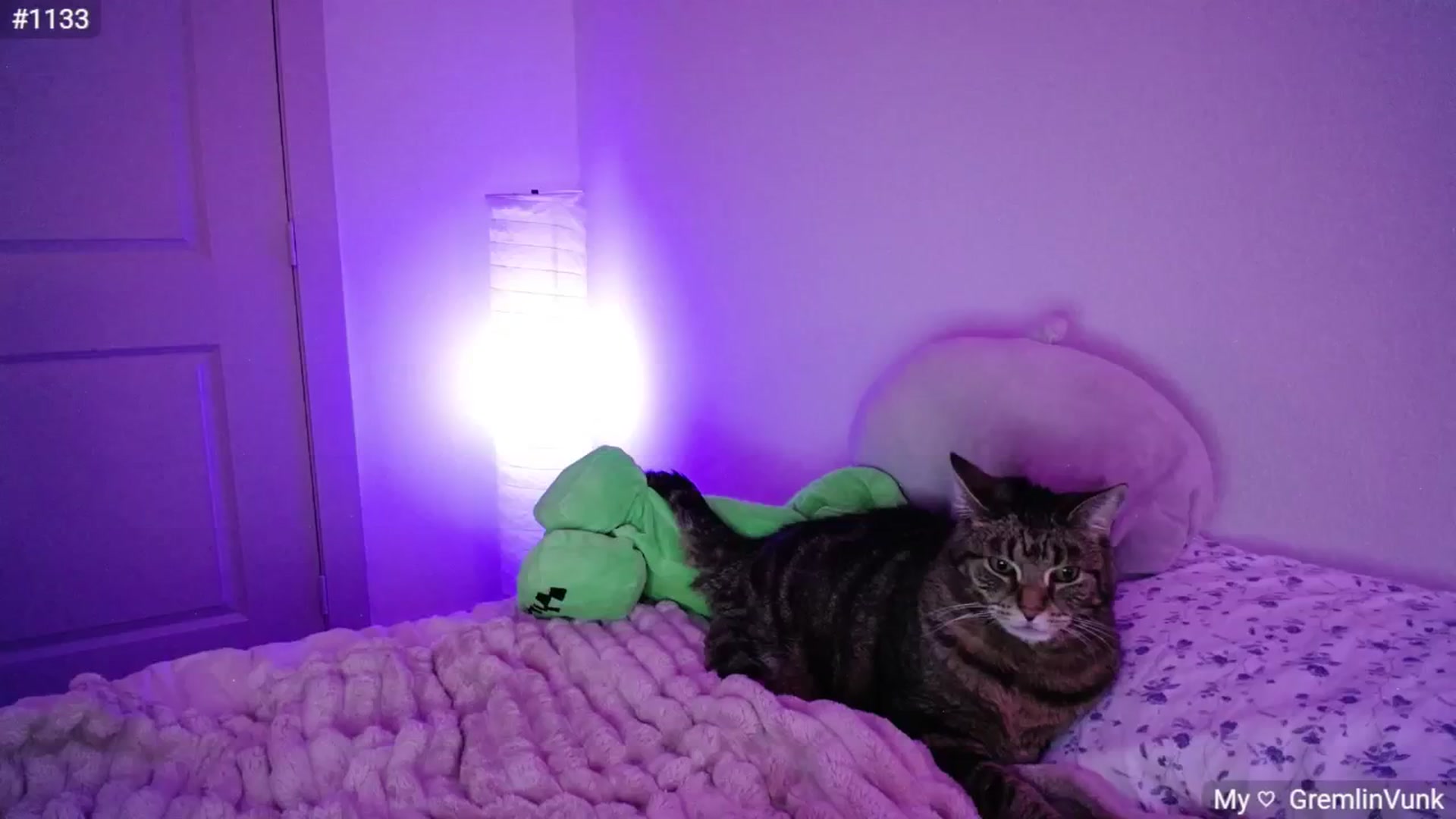 Gallery image thumbnail from Monica's myfreecams stream on, 10/15/2024, 02:58 image 19 of 20