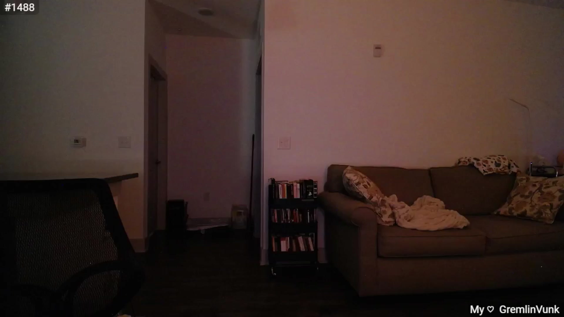 Gallery image thumbnail from Monica's myfreecams stream on, 10/23/2024, 01:28 image 9 of 20