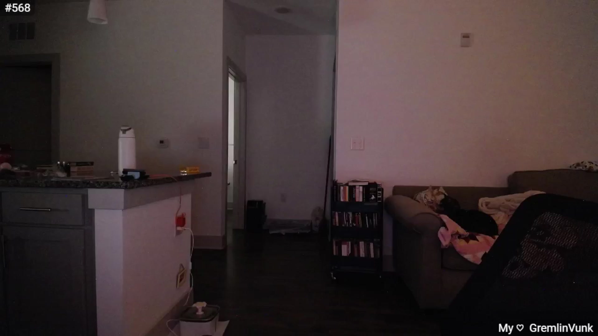Gallery image thumbnail from Monica's myfreecams stream on, 12/02/2024, 03:16 image 3 of 20