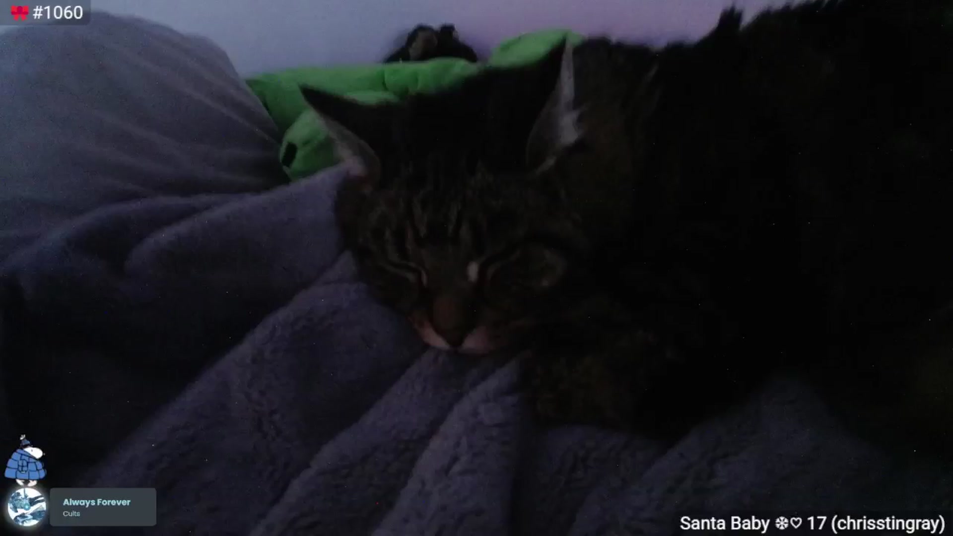 Gallery image thumbnail from Monica's myfreecams stream on, 02/06/2025, 04:29 image 3 of 20