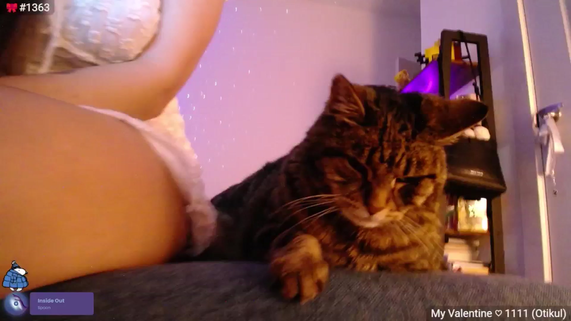 Gallery image thumbnail from Monica's myfreecams stream on, 03/10/2025, 05:43 image 6 of 20