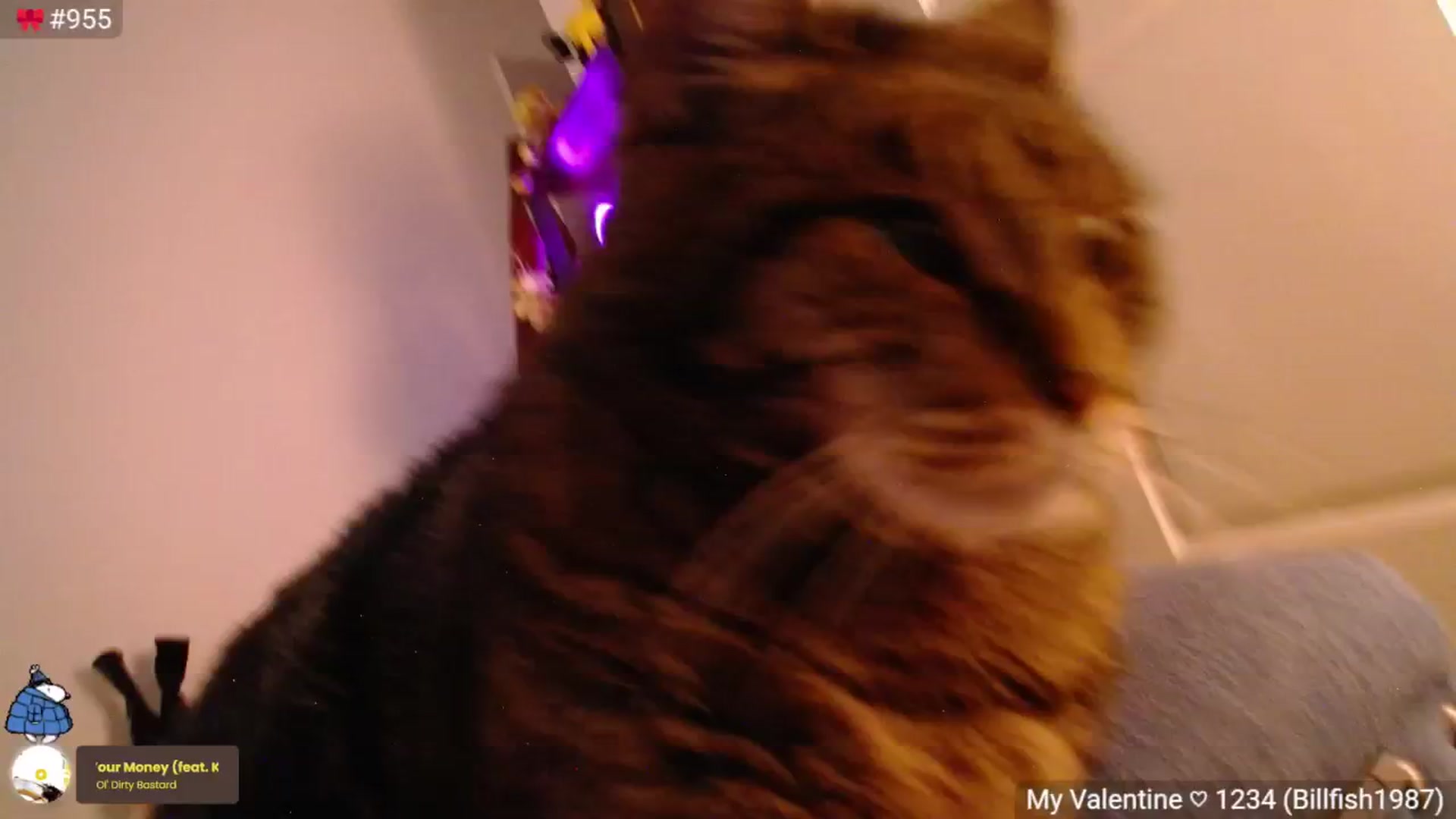 Gallery image thumbnail from Monica's myfreecams stream on, 03/10/2025, 05:43 image 11 of 20