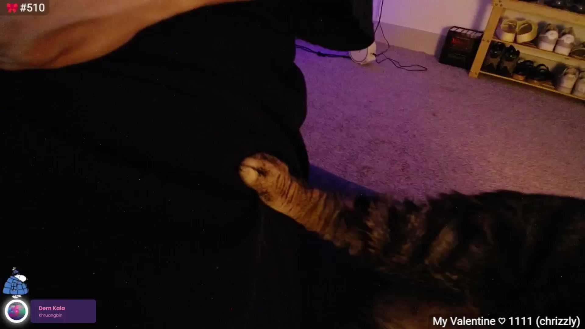 Gallery image thumbnail from Monica's myfreecams stream on, 03/16/2025, 04:03 image 10 of 20