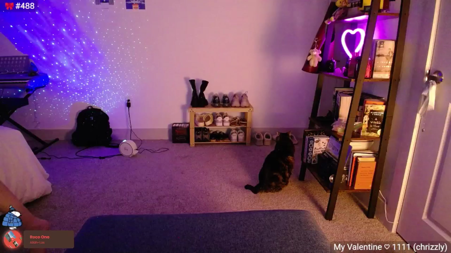Gallery image thumbnail from Monica's myfreecams stream on, 03/16/2025, 04:03 image 17 of 20