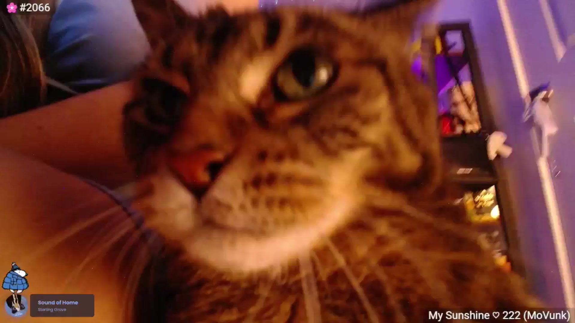 Gallery image thumbnail from Monica's myfreecams stream on, 04/04/2025, 04:28 image 3 of 20