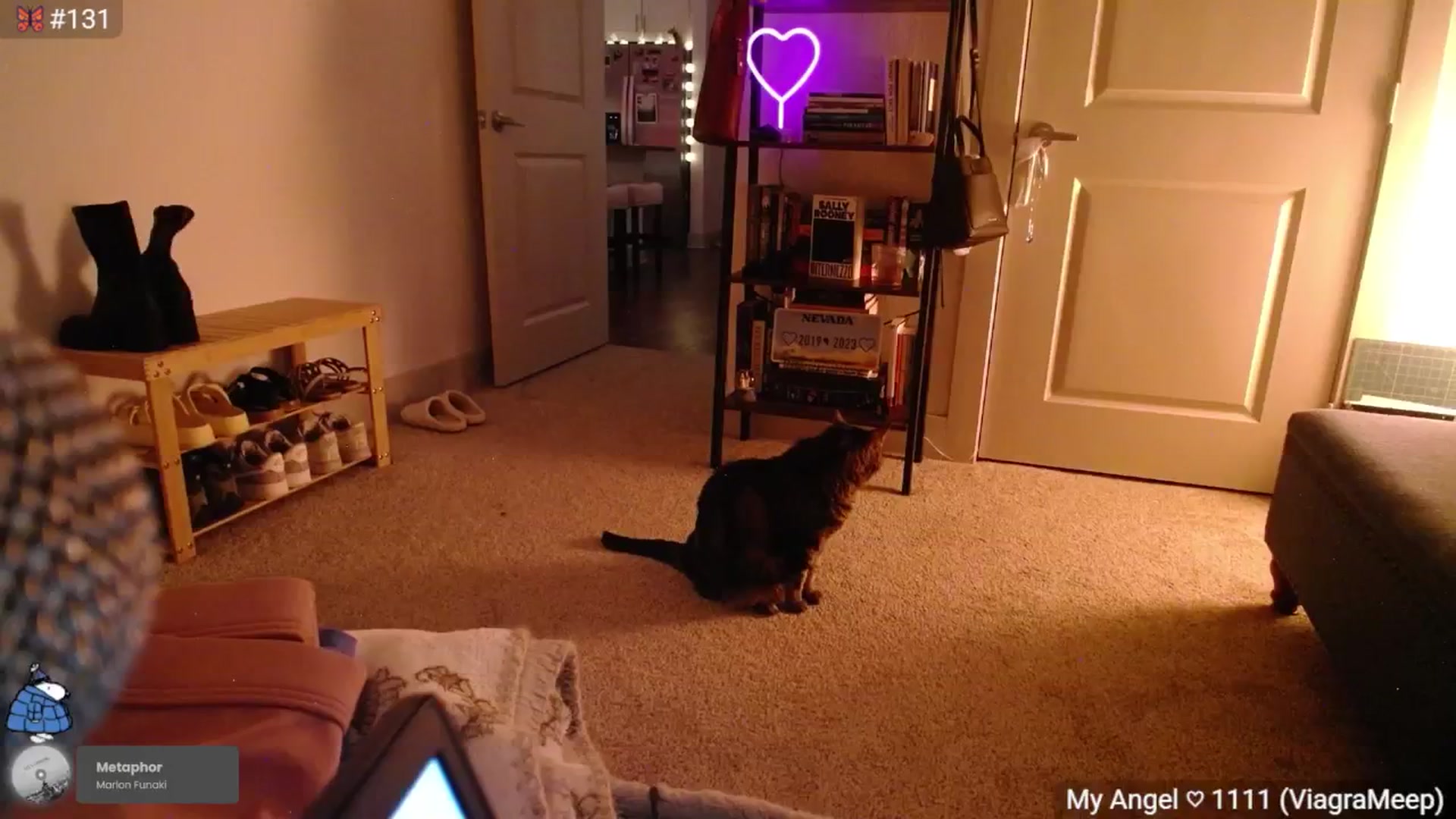Gallery image thumbnail from Monica's myfreecams stream on, 05/04/2025, 04:01 image 4 of 20