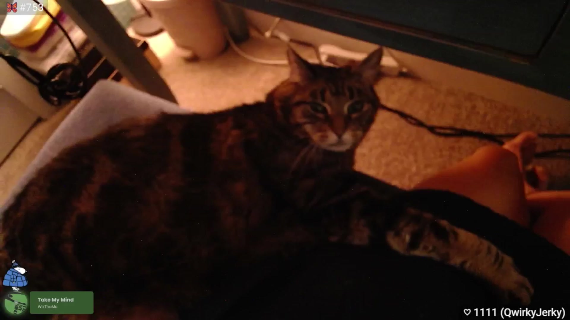 Gallery image thumbnail from Monica's myfreecams stream on, 09/01/2025, 03:27 image 14 of 20