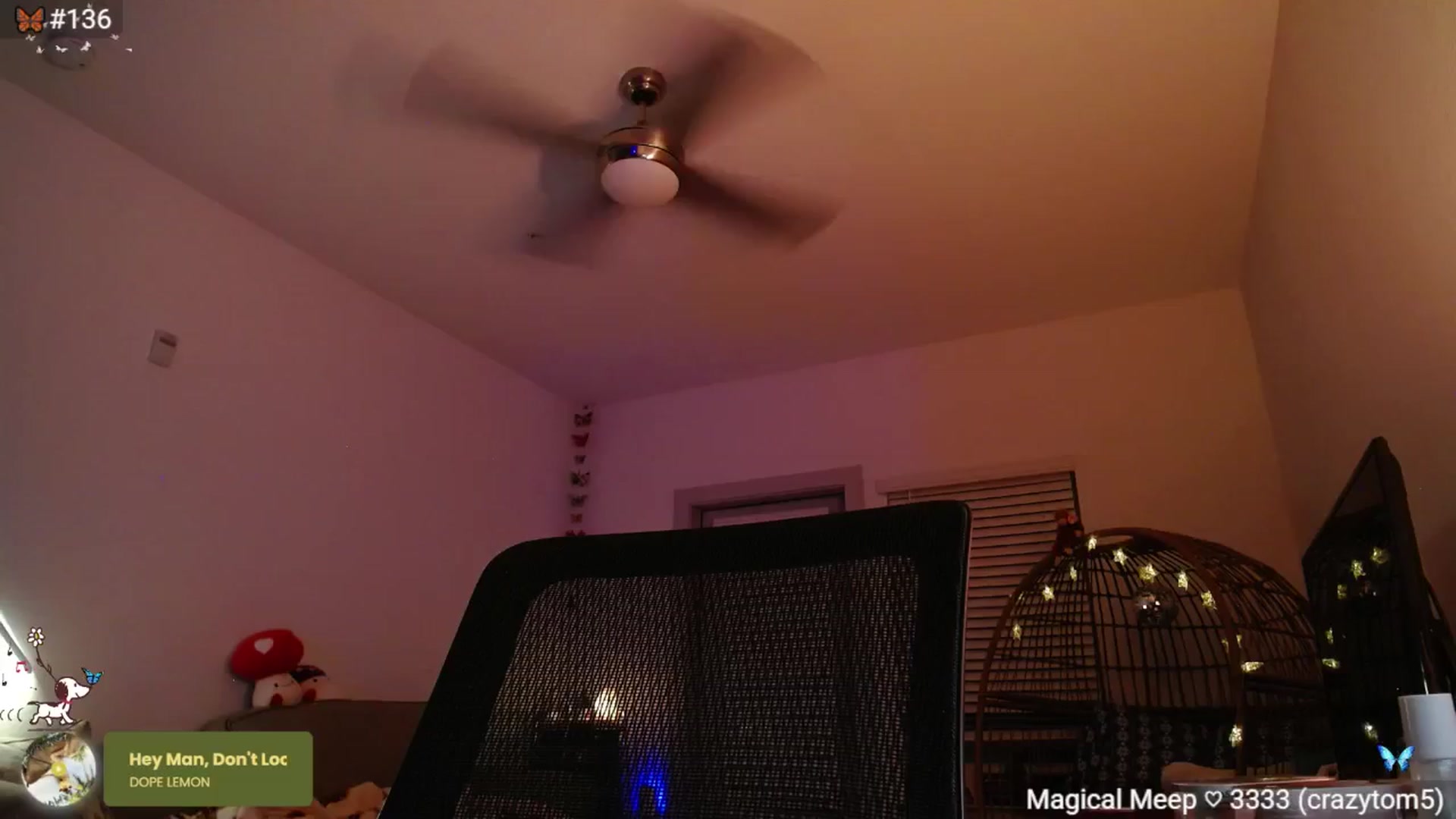 Gallery image thumbnail from Monica's myfreecams stream on, 11/22/2025, 06:35 image 8 of 20