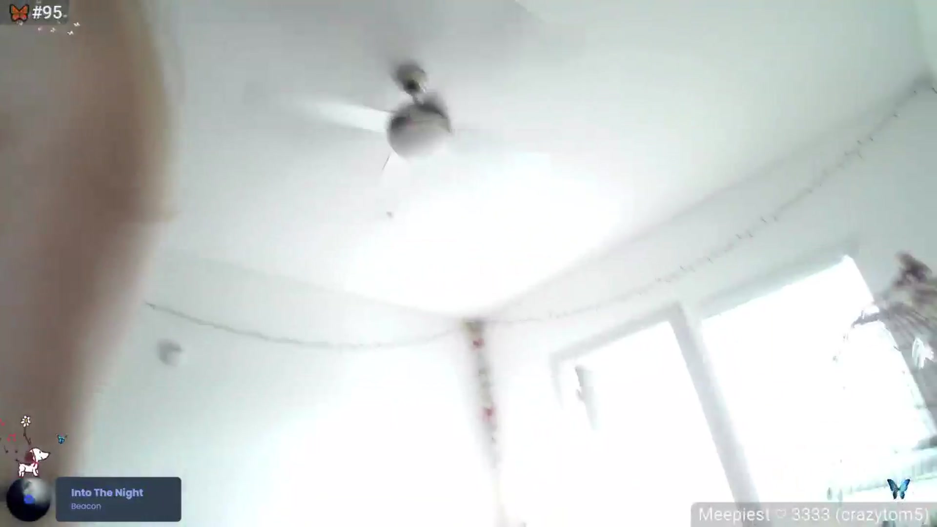 Gallery image thumbnail from Monica's myfreecams stream on, 05/22/2026, 22:38 image 20 of 20