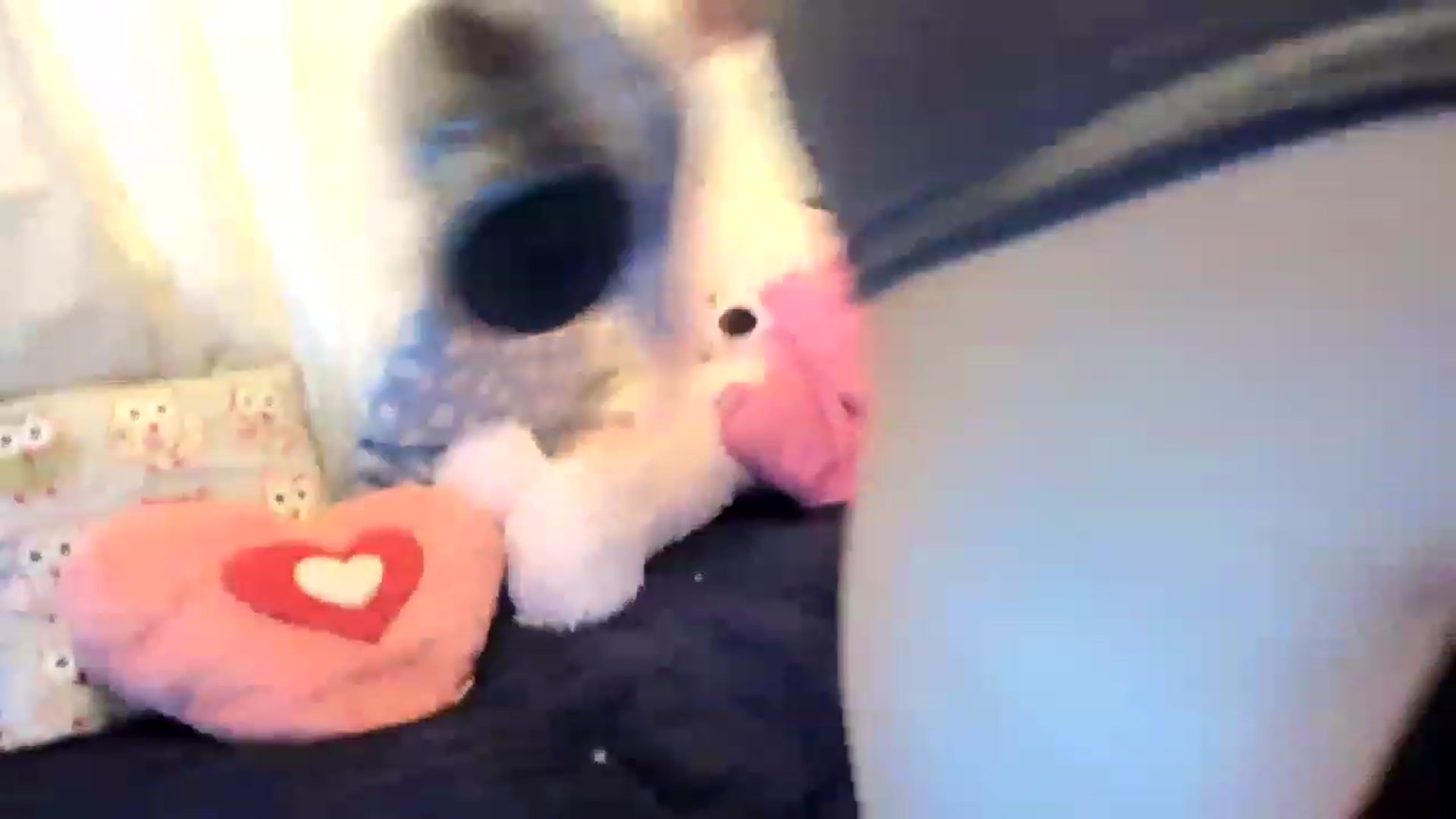 Gallery image thumbnail from MonicaAssUK's myfreecams stream on, 11/26/2022, 15:23 image 7 of 20