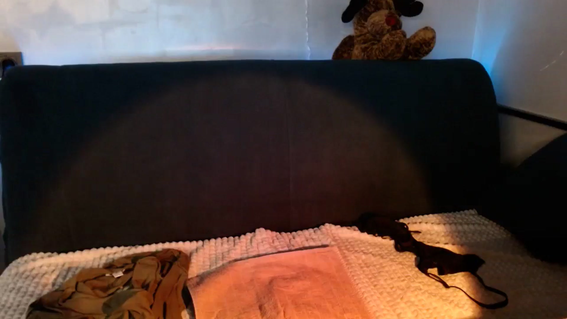 Gallery image thumbnail from Monika_lucci's myfreecams stream on, 03/02/2024, 16:38 image 10 of 20