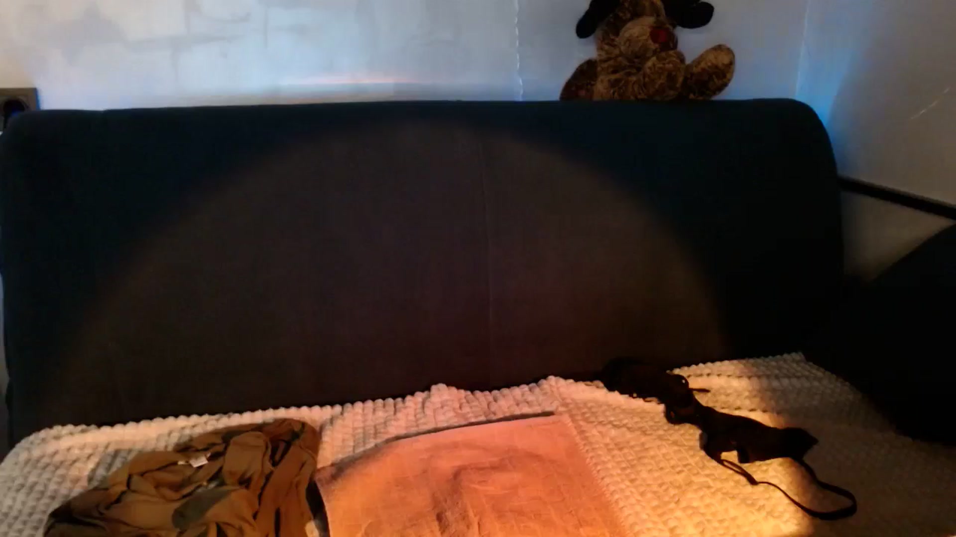 Gallery image thumbnail from Monika_lucci's myfreecams stream on, 03/02/2024, 16:38 image 11 of 20