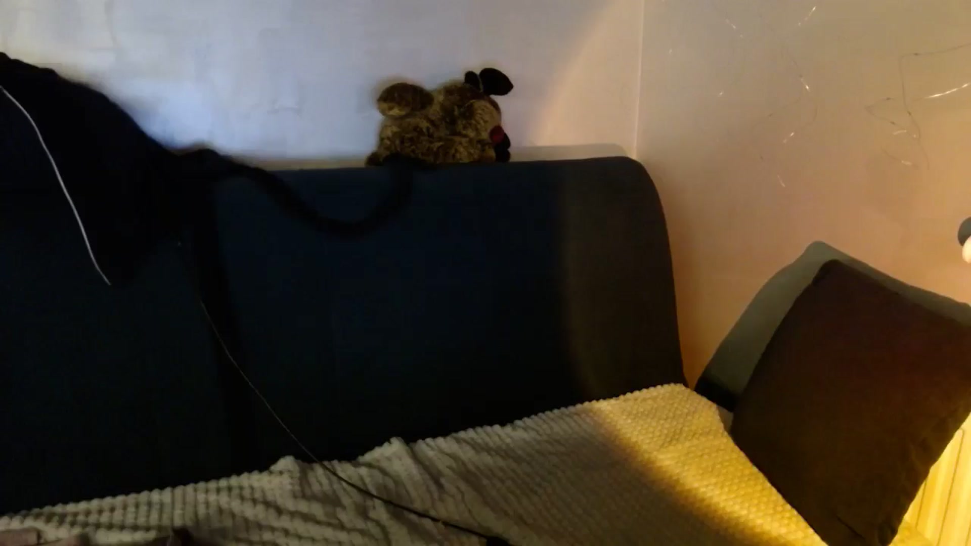 Gallery image thumbnail from Monika_lucci's myfreecams stream on, 10/19/2024, 16:59 image 14 of 20